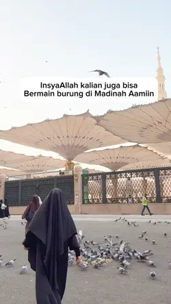 Burung Madinah