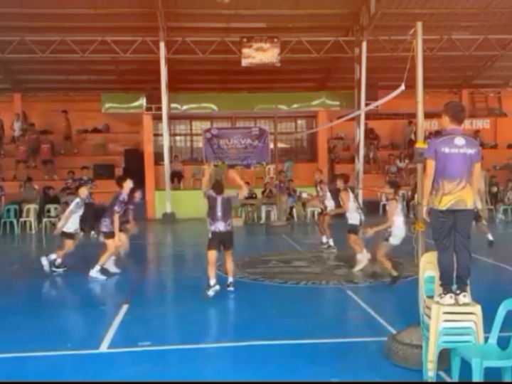 Ediciones de voleibol / video