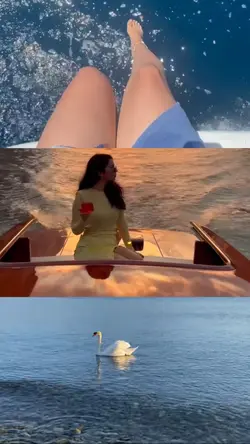 3 grid videos