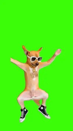 Dog/Cachorro.