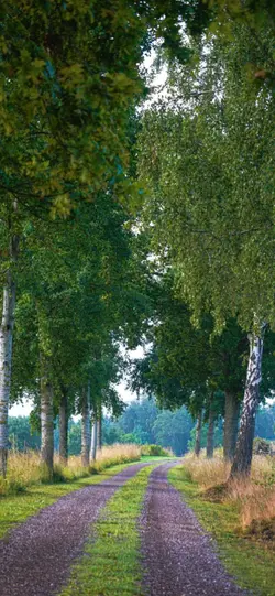 Deliye döndüm