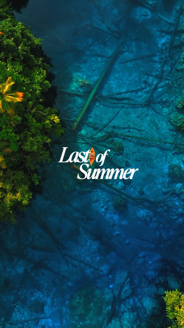 Letzter Sommer 