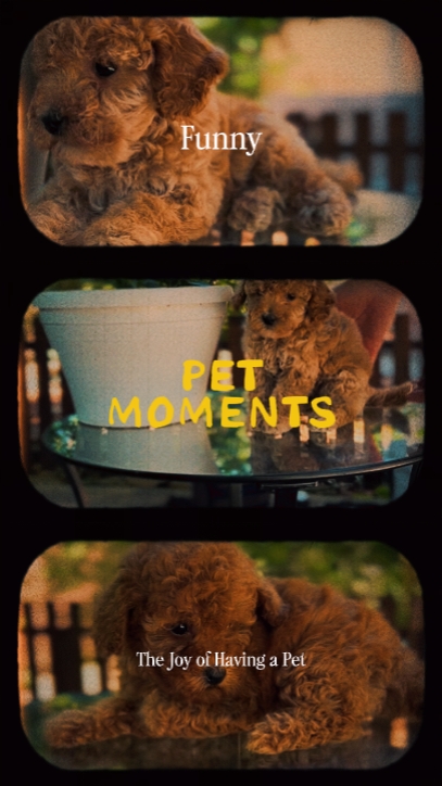 Momentos de estimação