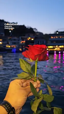 BIR GÖNÜL NEDIR Kİ