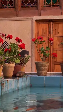 پردیس و بهار من✨