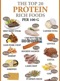 best protein after