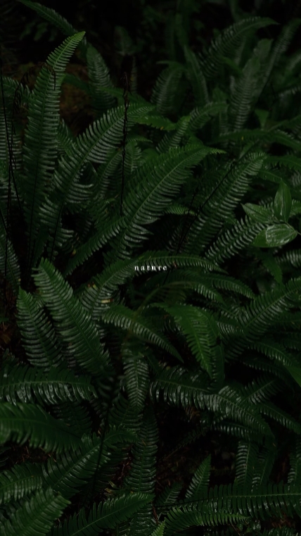 Natureza