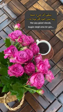 Ama birgün 