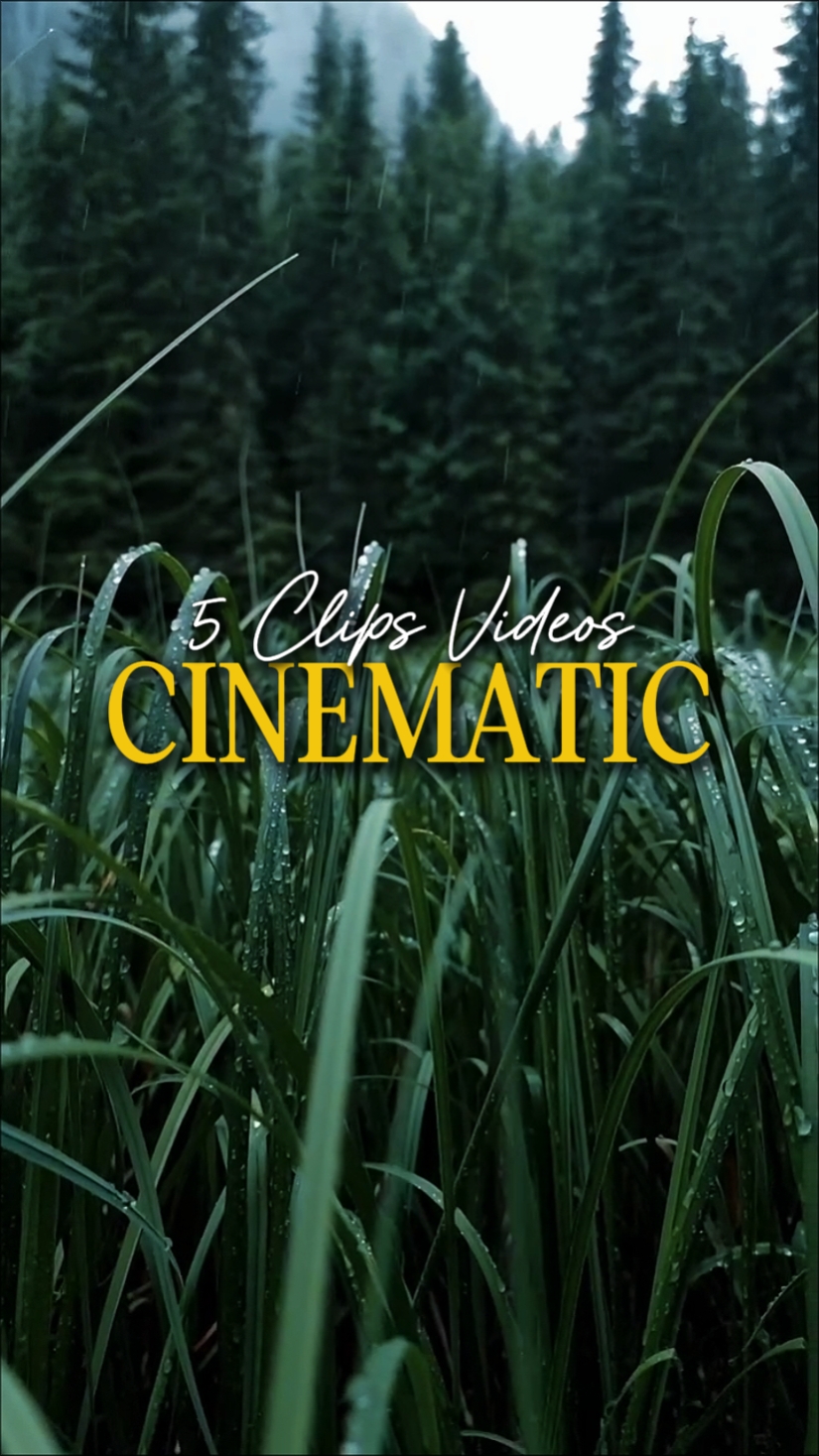 CINEMATIC 5 VIDEOS