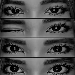 eye trend 