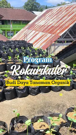 Program Kokurikuler 