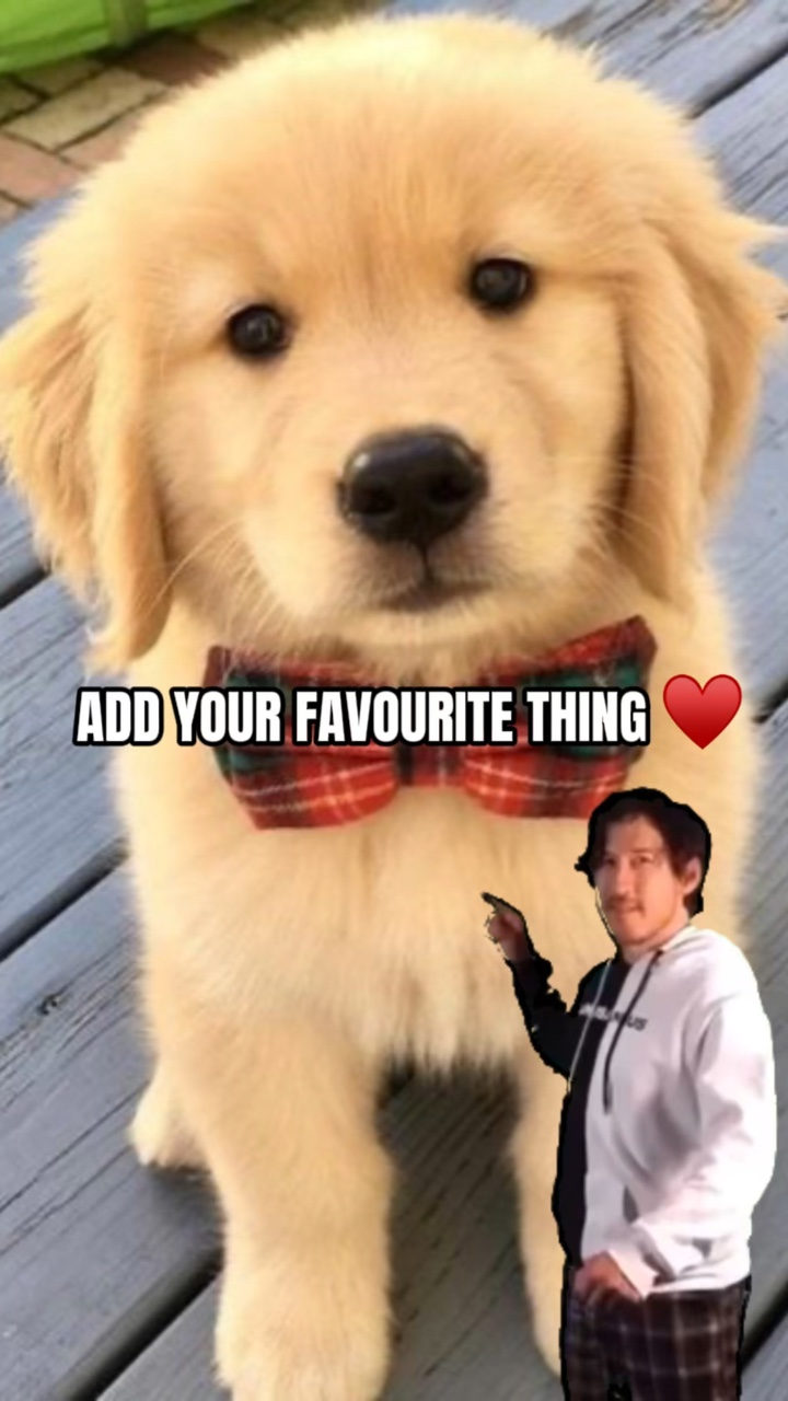 Favourite thing ♥️