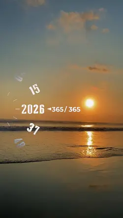 2025 recap 365/365