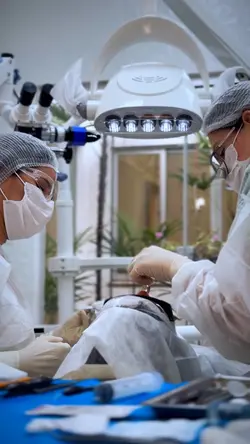 Cirurgiã Dentista
