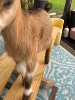 :D