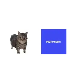 Trend Edit Video