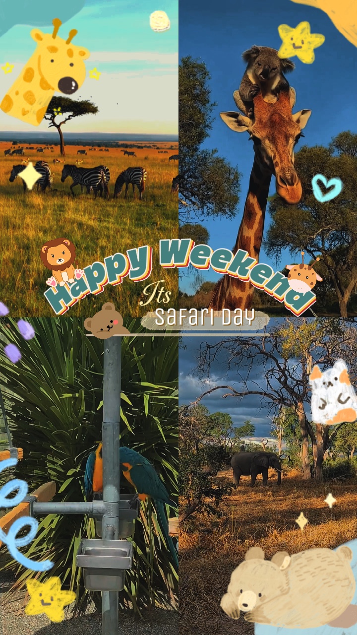 Safari weekend