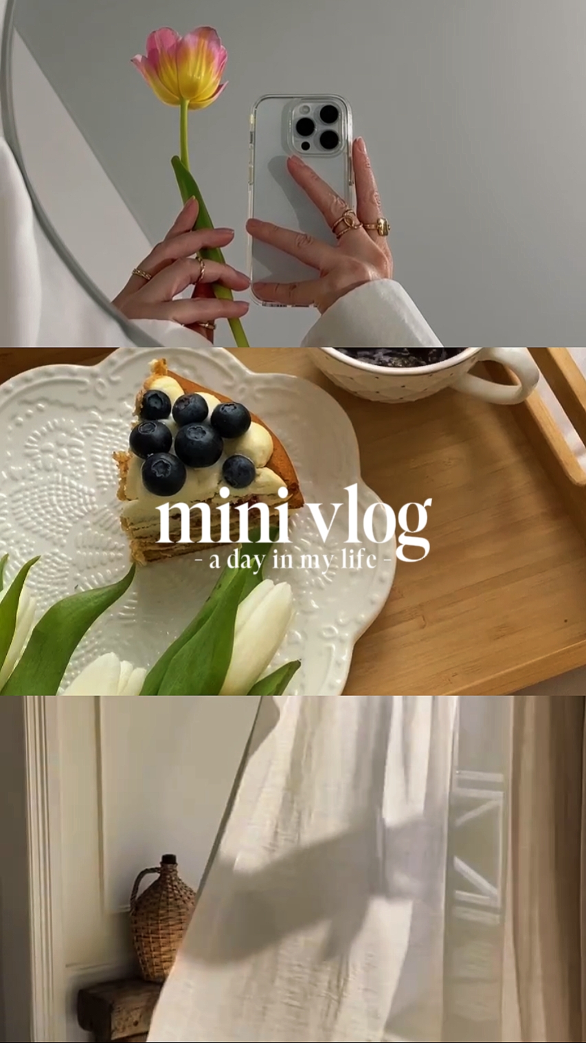 vlog mini