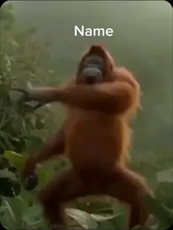 Dancing Monkey Meme