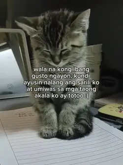 ayusin ang sarili