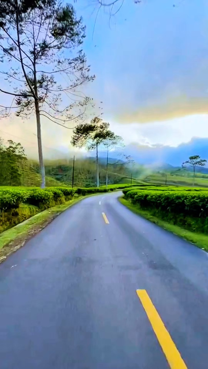5 clips vidéo route