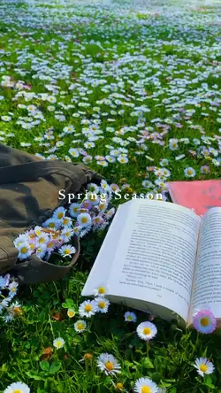 Spring season