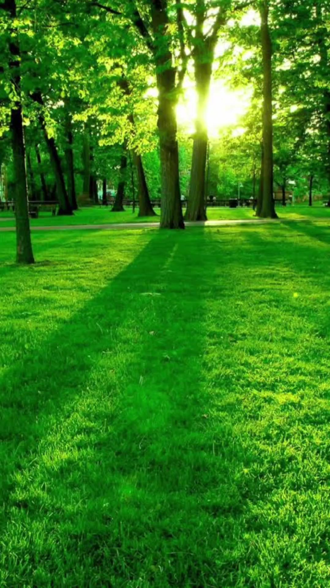 Love Nature 