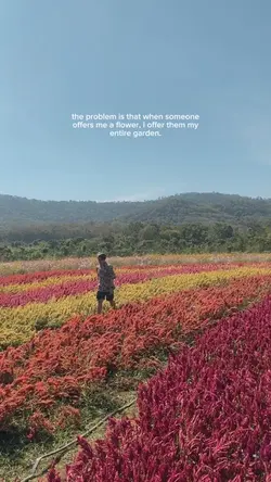 Entire garden