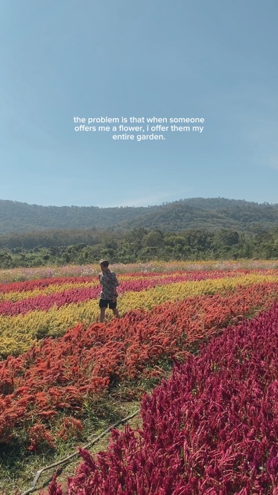 Todo el jardín