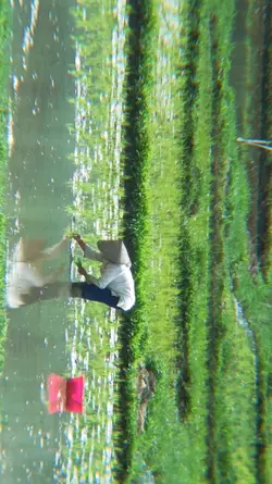 FARMING CINEMATIC 