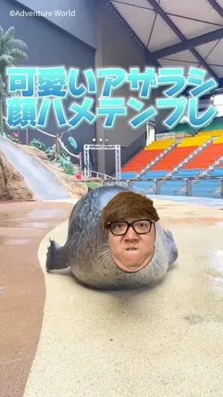 可愛いアザラシ顔ハメテンプレ