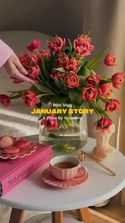 January Story