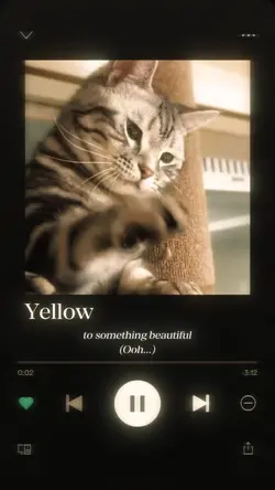 My cat template