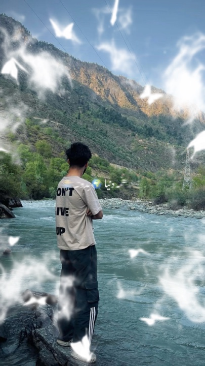 Cover Picture