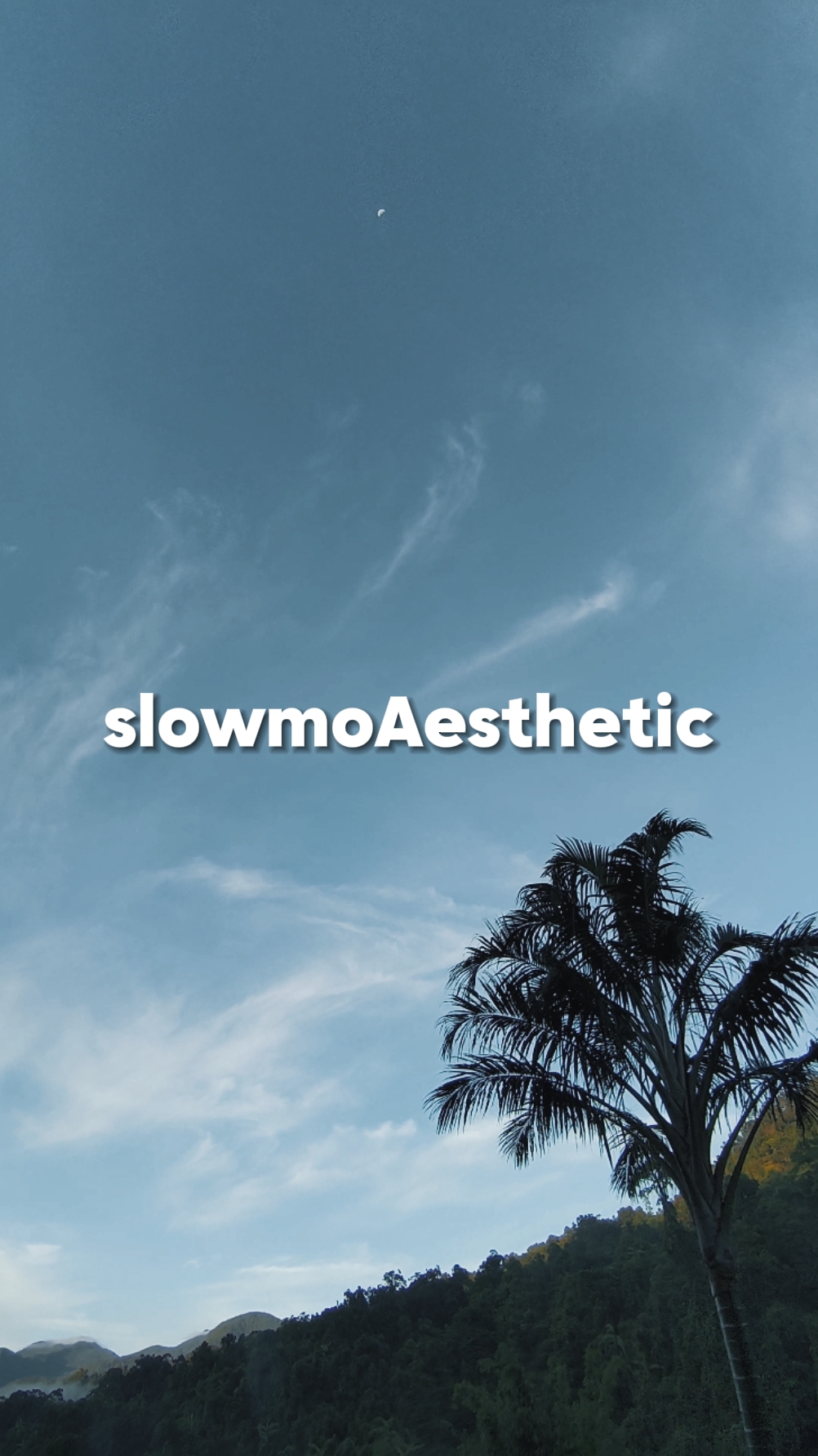 SlowmoAesthetic