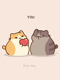 Cat love