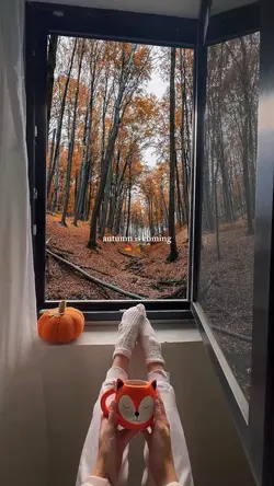 autumn is coming