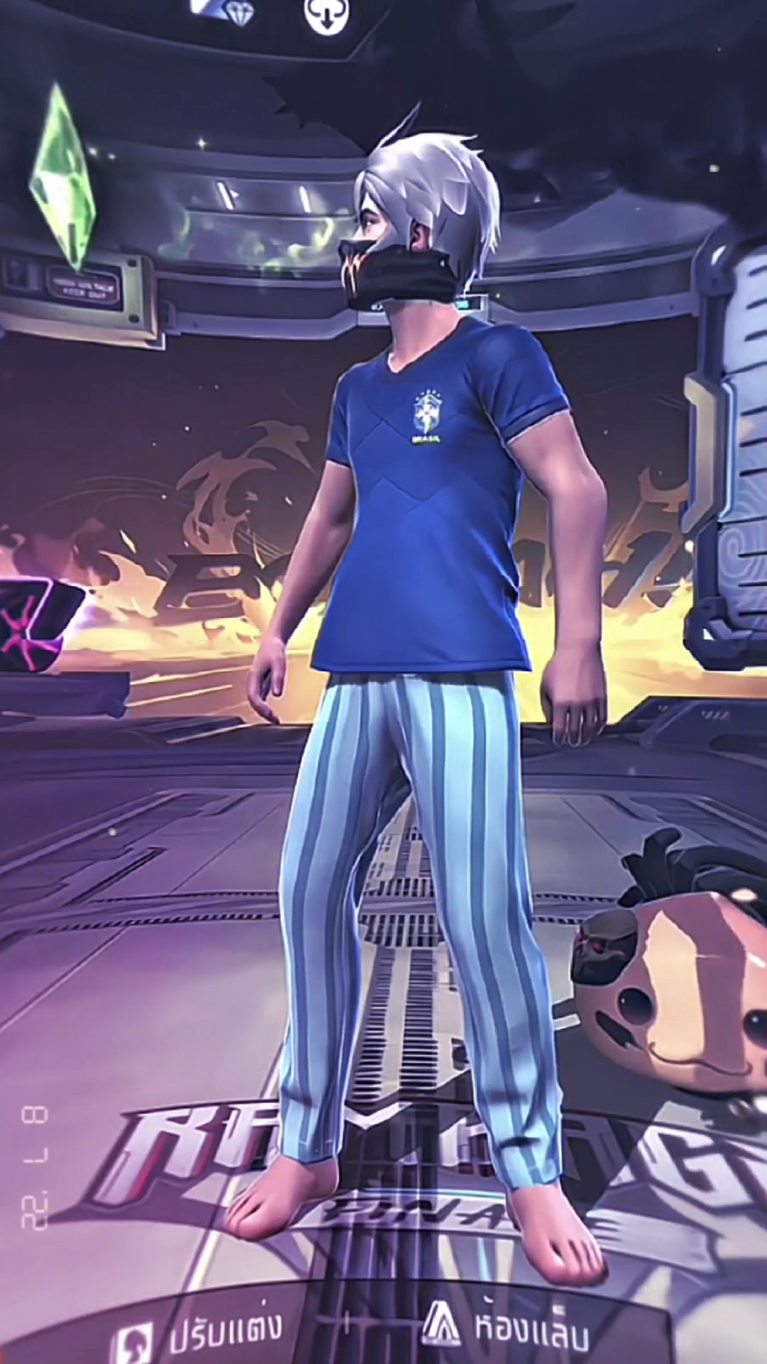 1วิดีโอ/8รูป