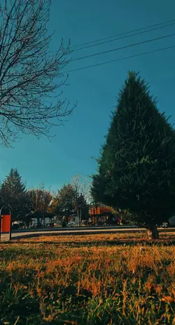 Olsada bir Olmasa da