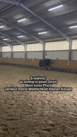 Mein totes Pferd😔