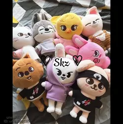 skz souvenir 