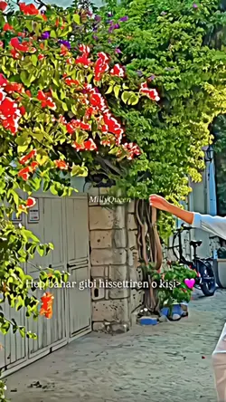 MelSıl Edit💖