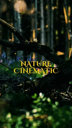 Nature Cinematic 