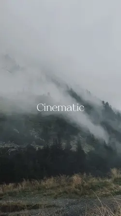 Fog Cinematic