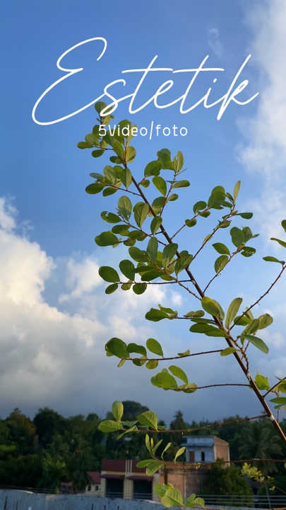 5 estetik vidio