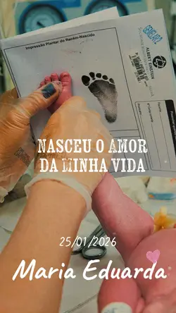 Meu Bebê Nasceu