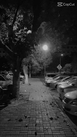 Sad Slow-motion 