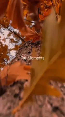 Fall moments