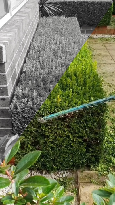 Gardening