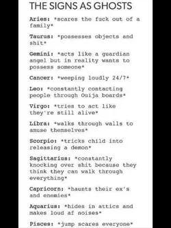 Zodiac things
